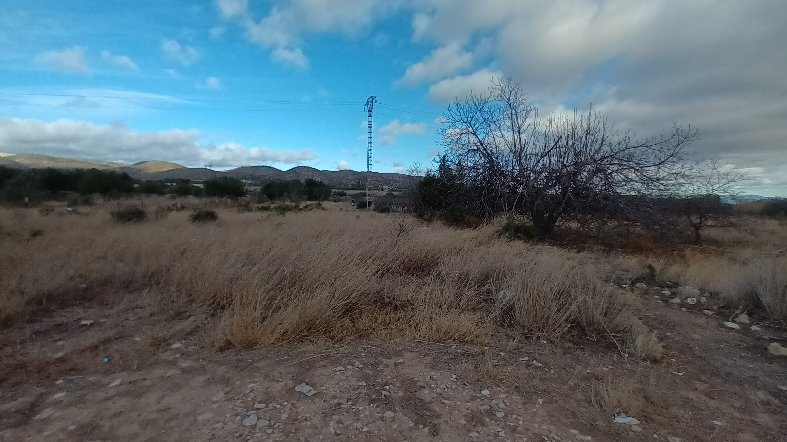 Image4