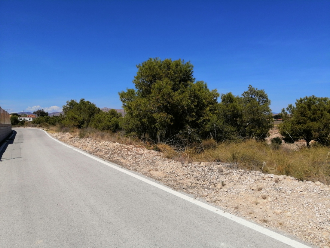 - Image 1