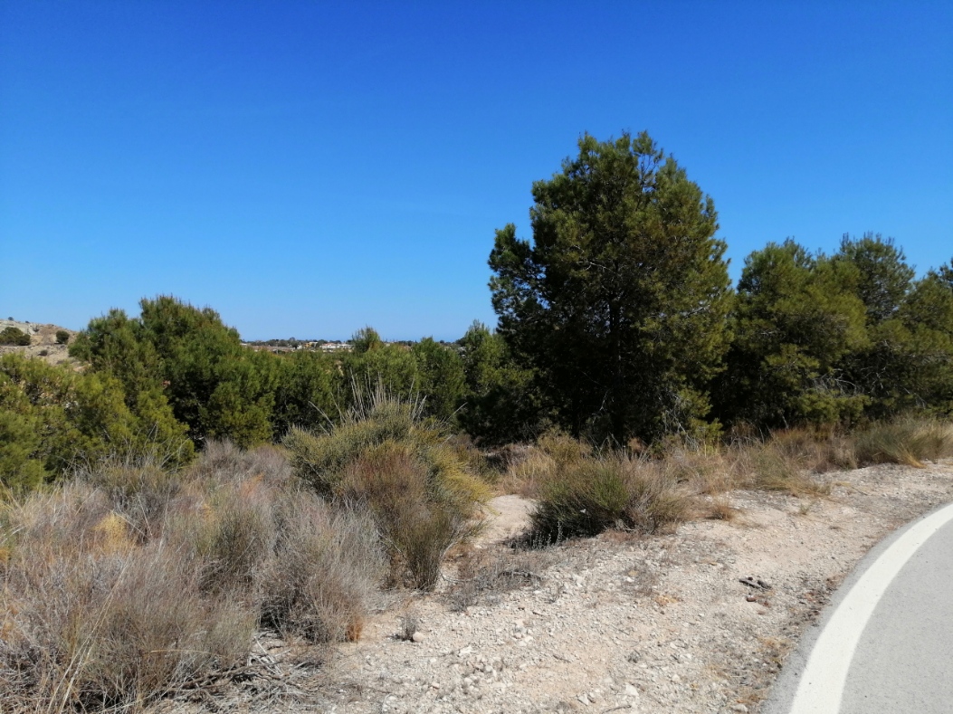 - Image 5