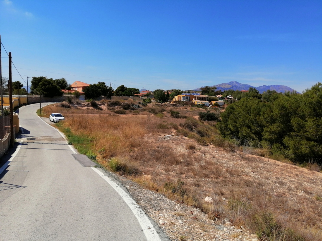 - Image 7