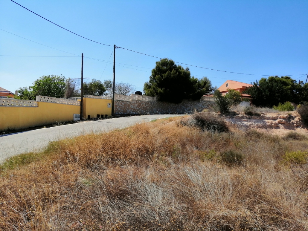 - Image 9