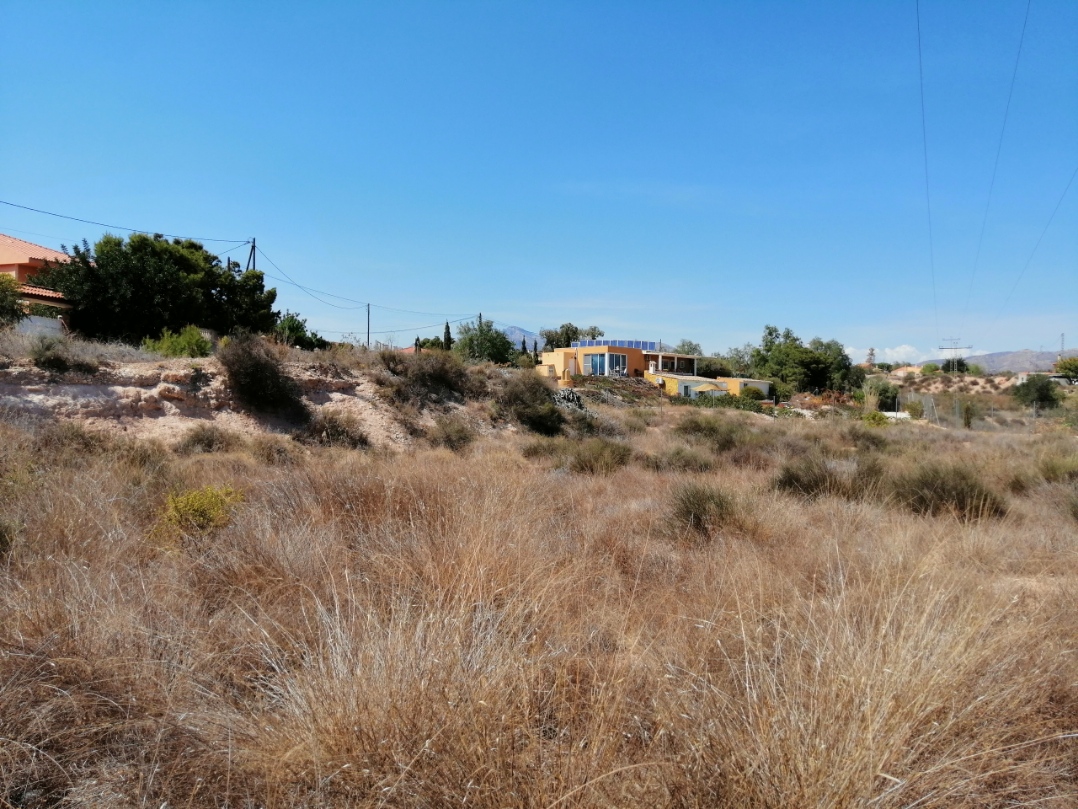 - Image 11