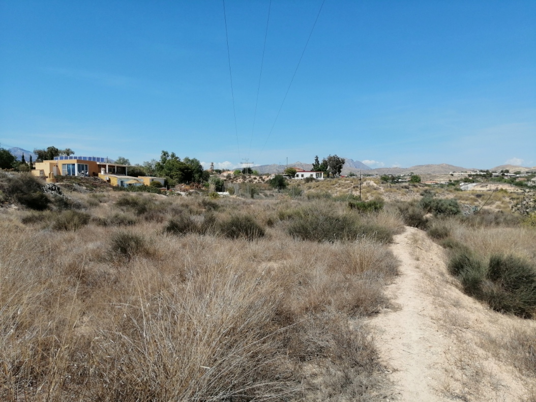 - Image 12