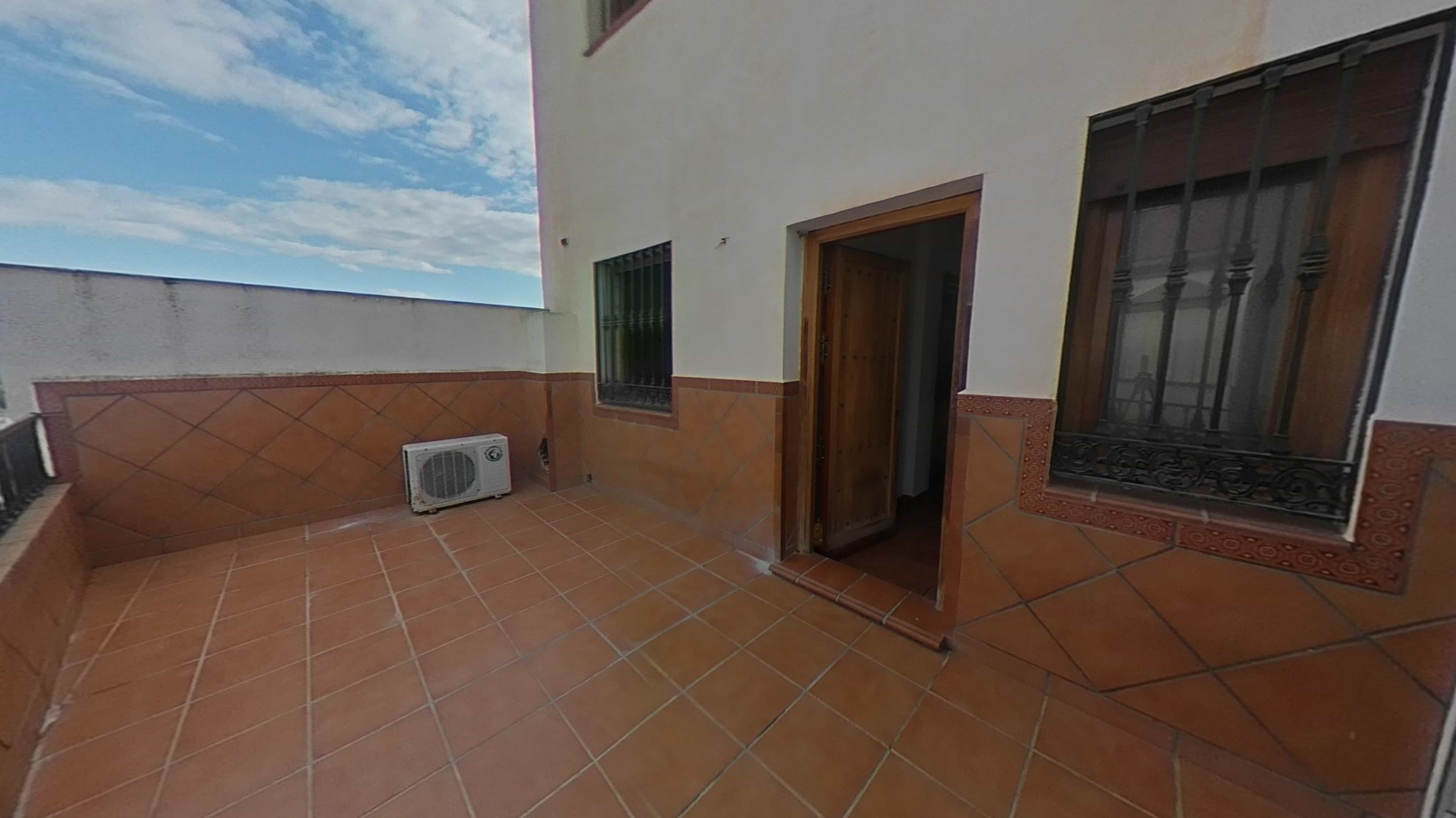 - Image 41