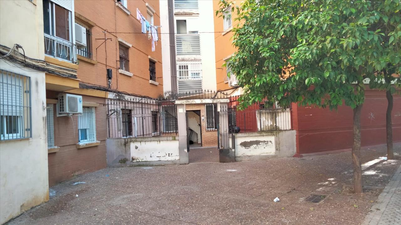 Image3