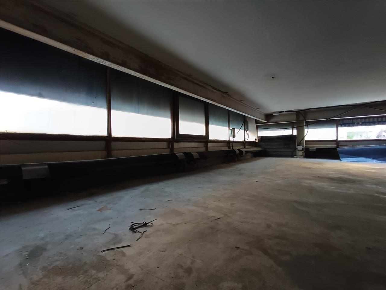 Image3