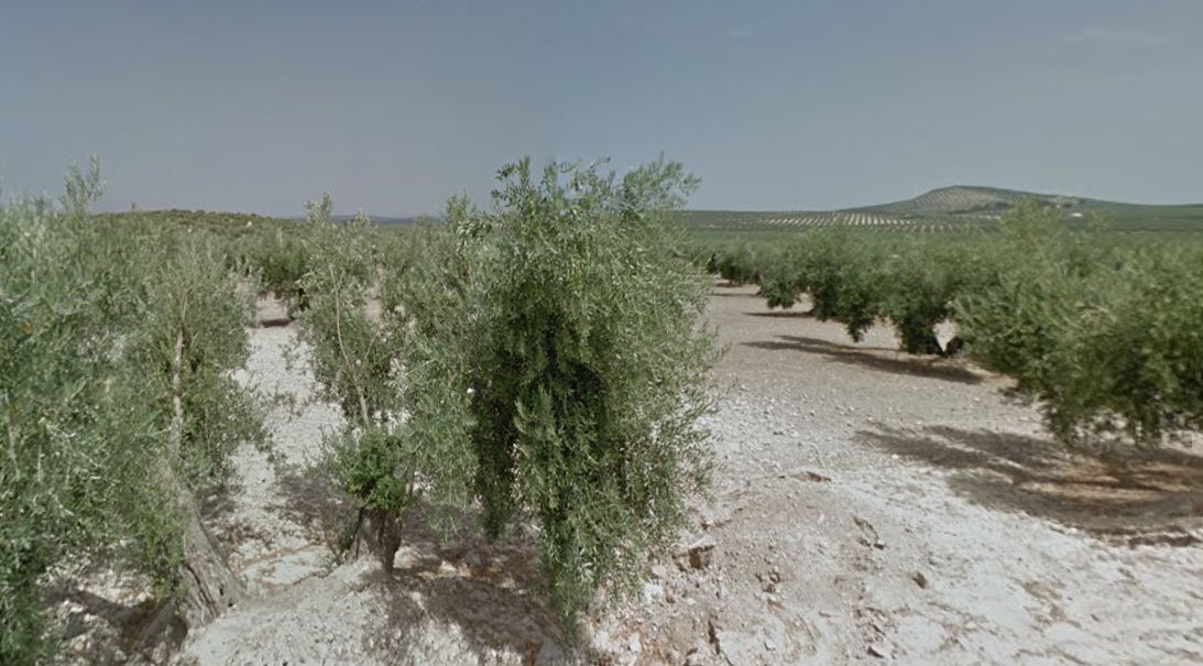 Finca rústica en Torredonjimeno