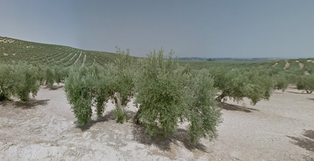 Finca rústica en Torredonjimeno