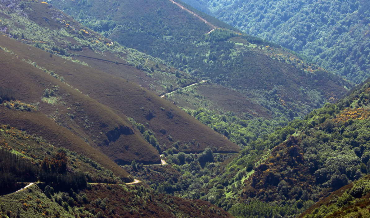 Cervantes, Lugo