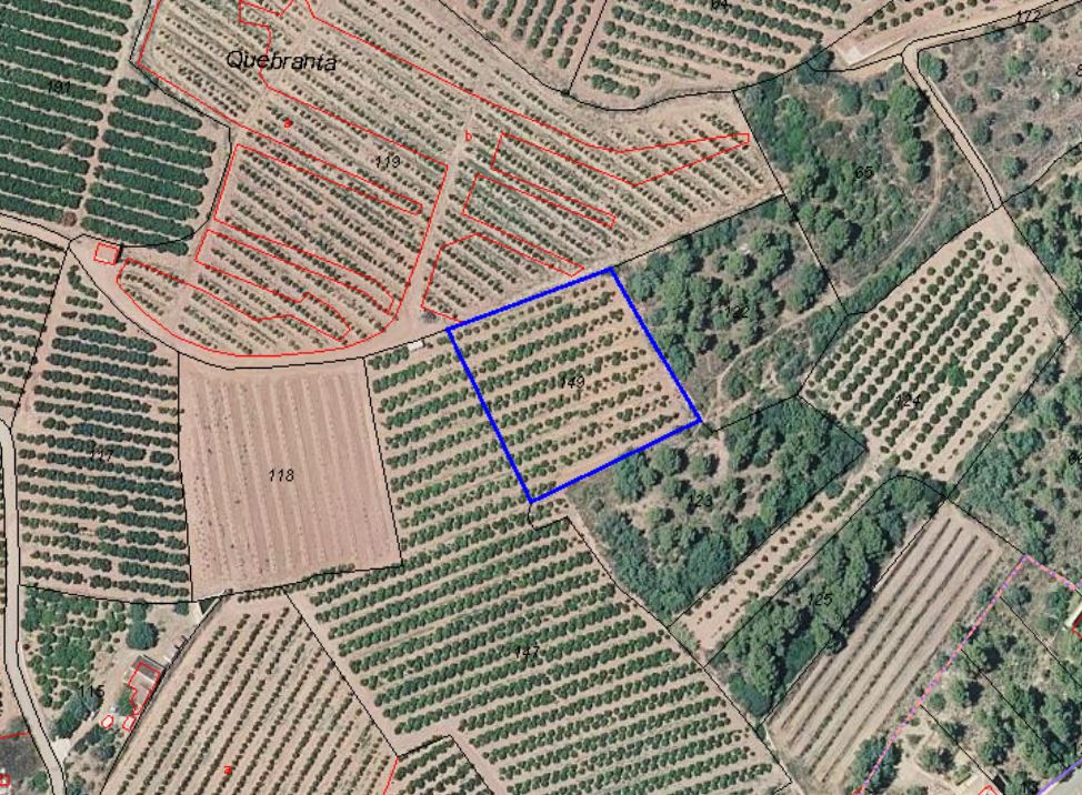 - Image 5