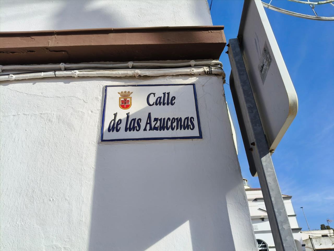 Image4