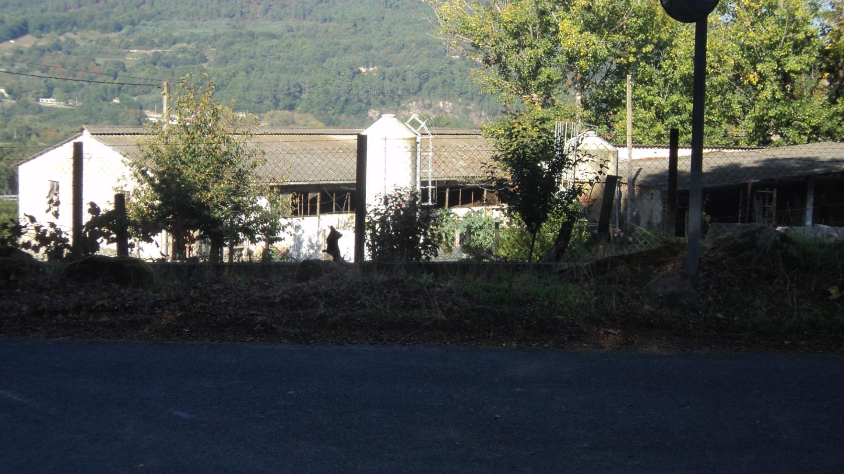 Image2