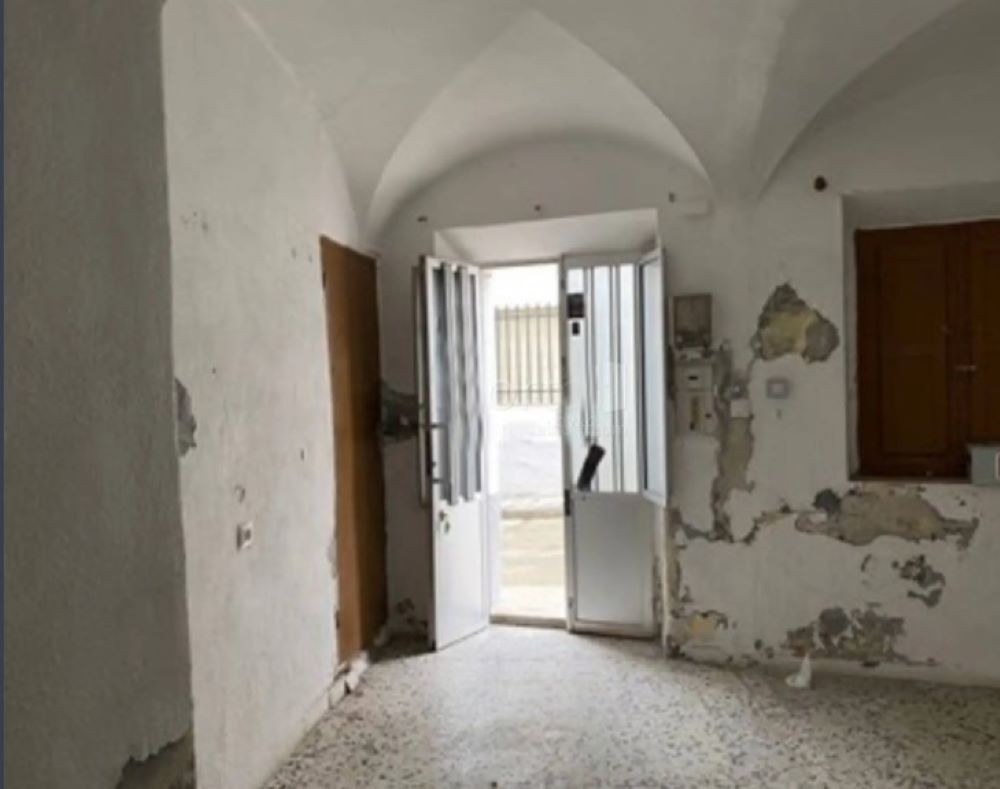 undefined - Image 10