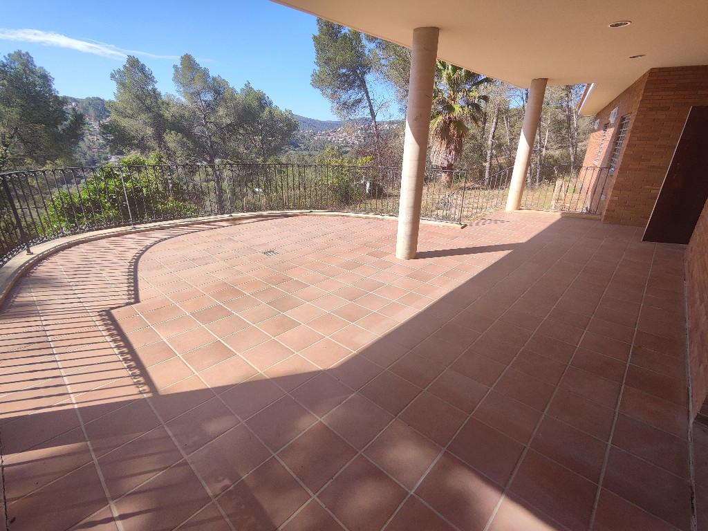 Image5