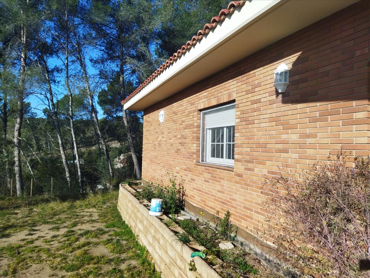 Image3