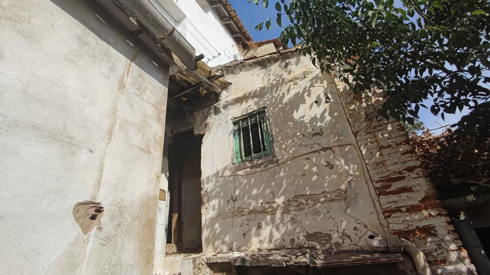 Image4