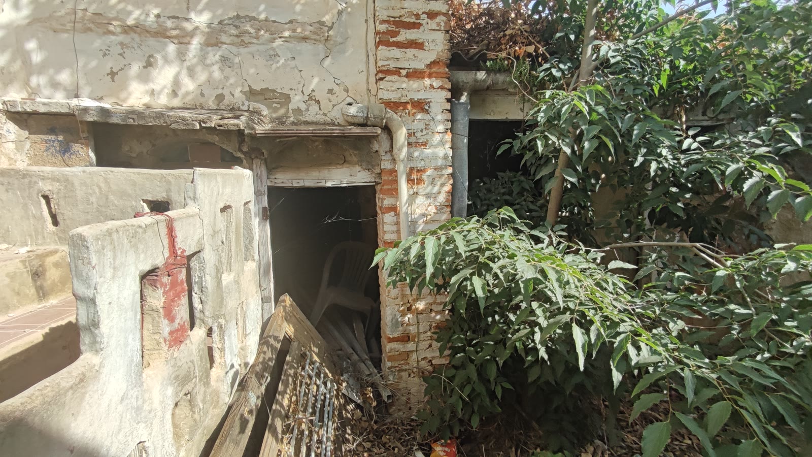 Image5