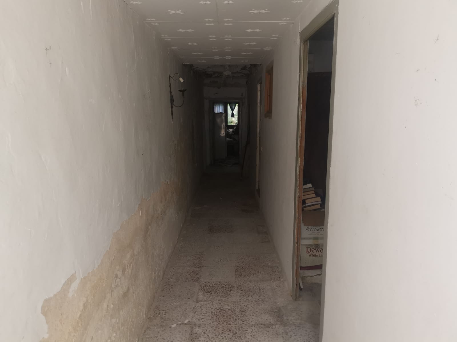 Image4