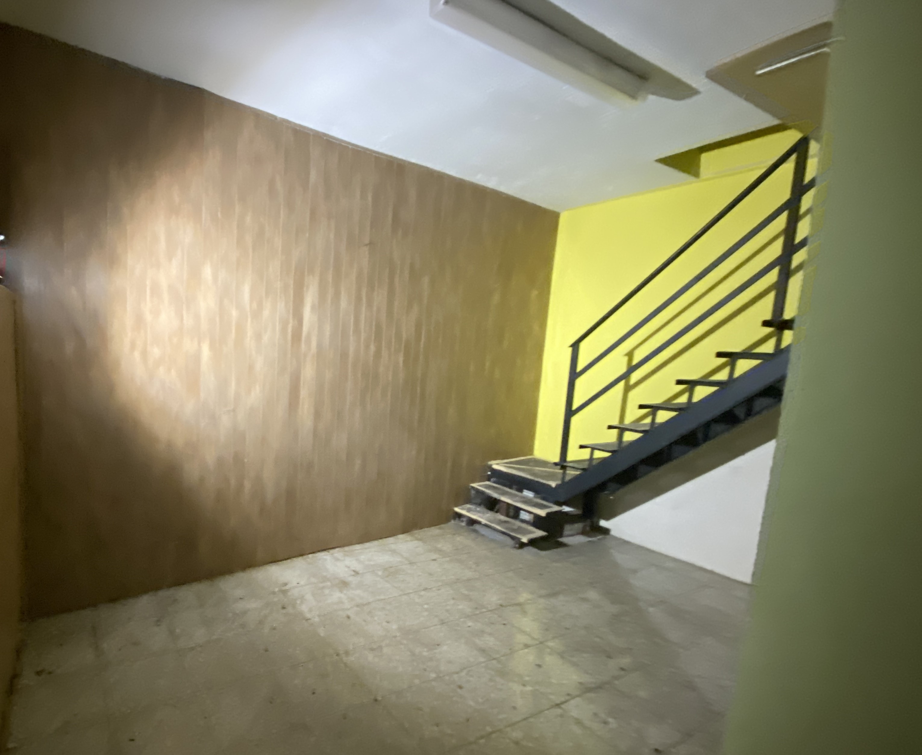 Image5