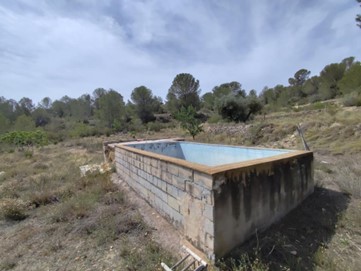 Propriedade rústica à venda em El Pinós – Natureza, tranquilidade e privacidade - Image 10