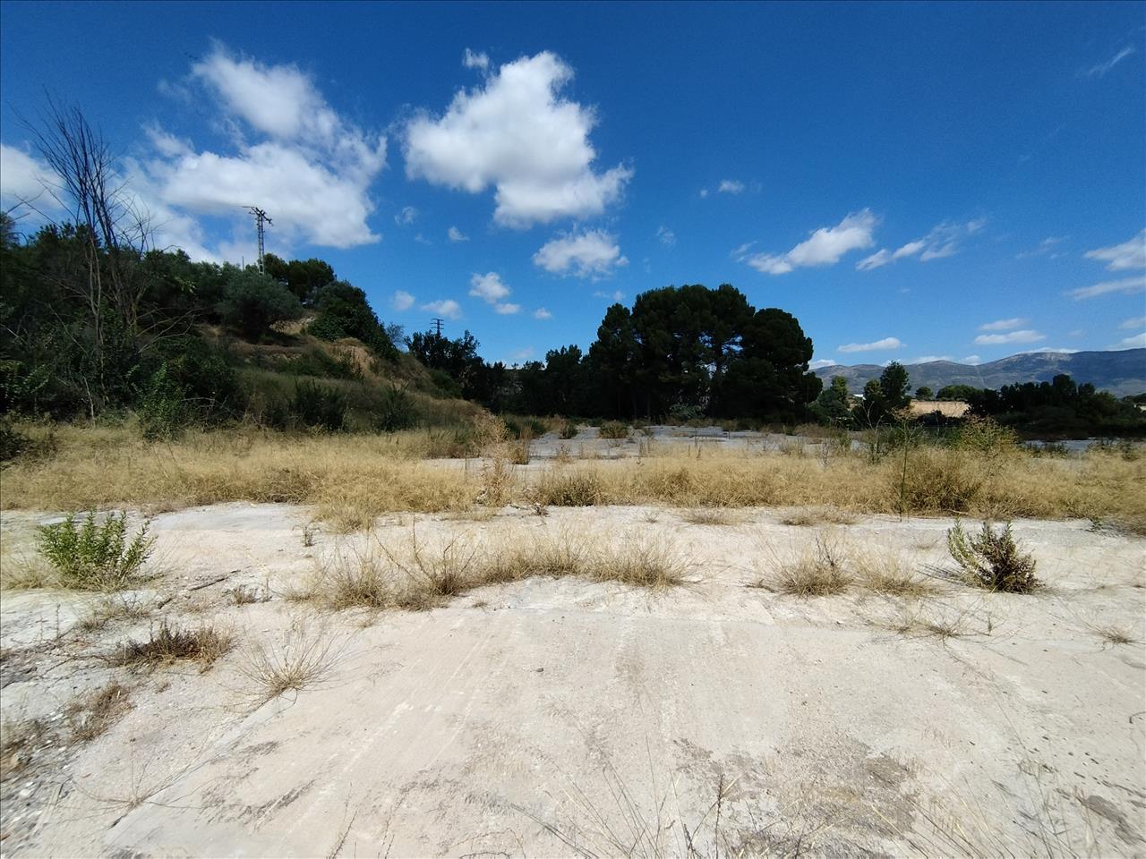  - Image 3