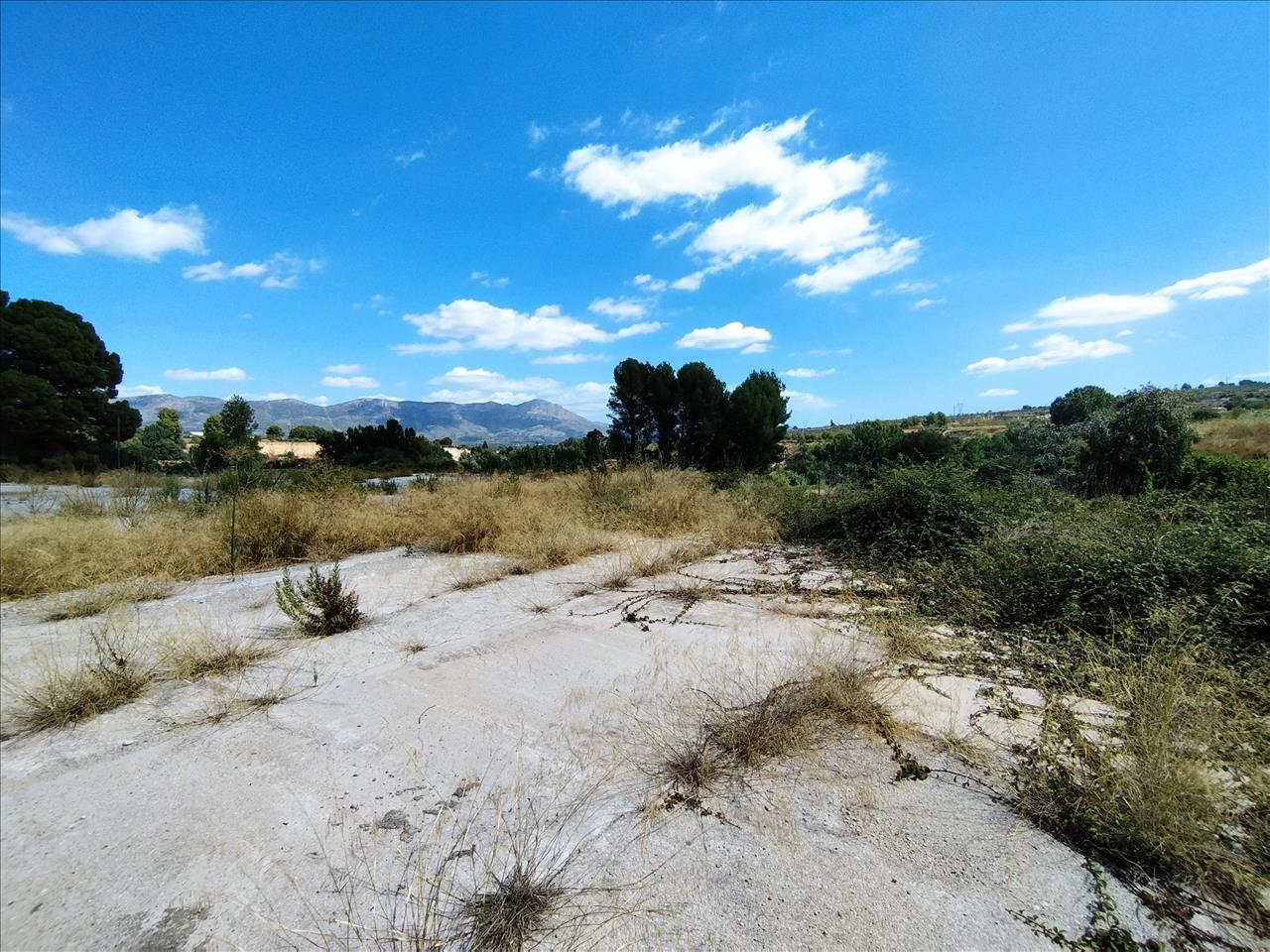  - Image 4