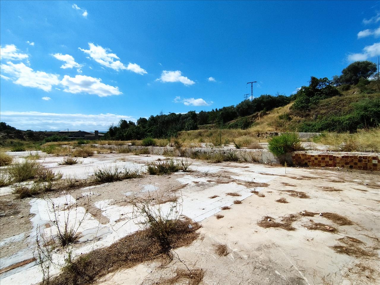  - Image 7