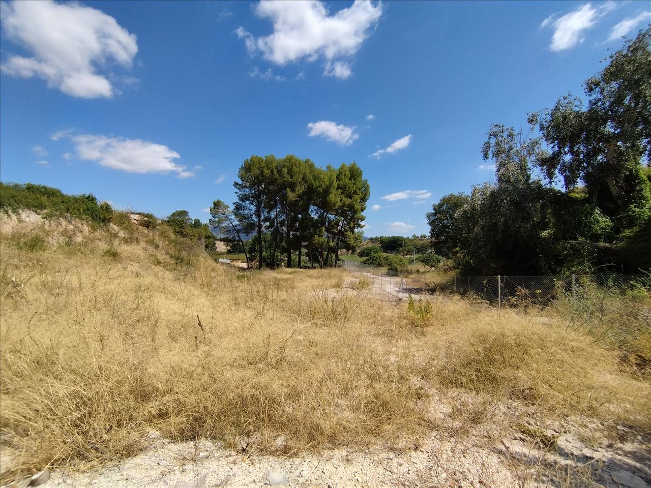  - Image 12