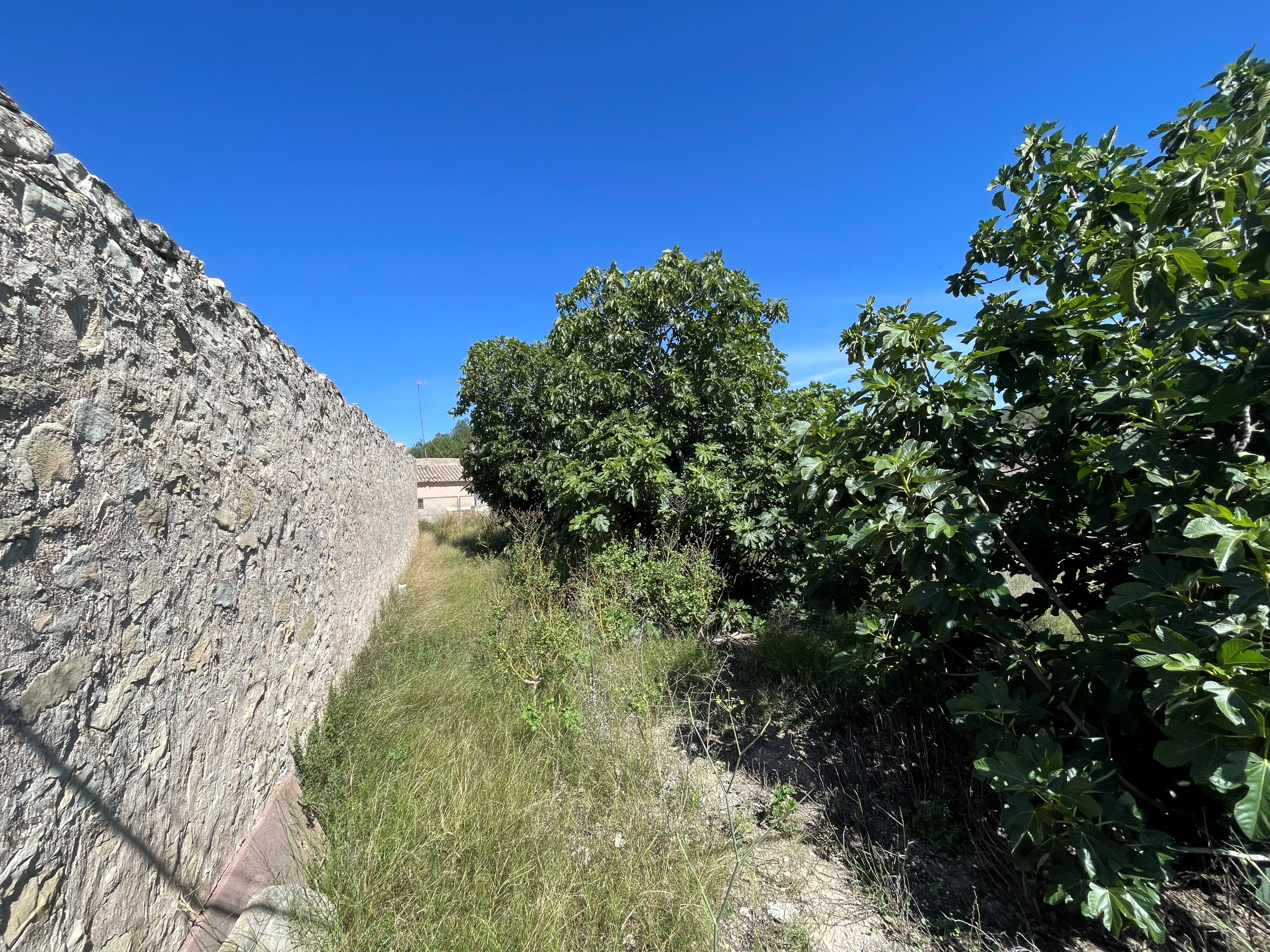 undefined - Image 11
