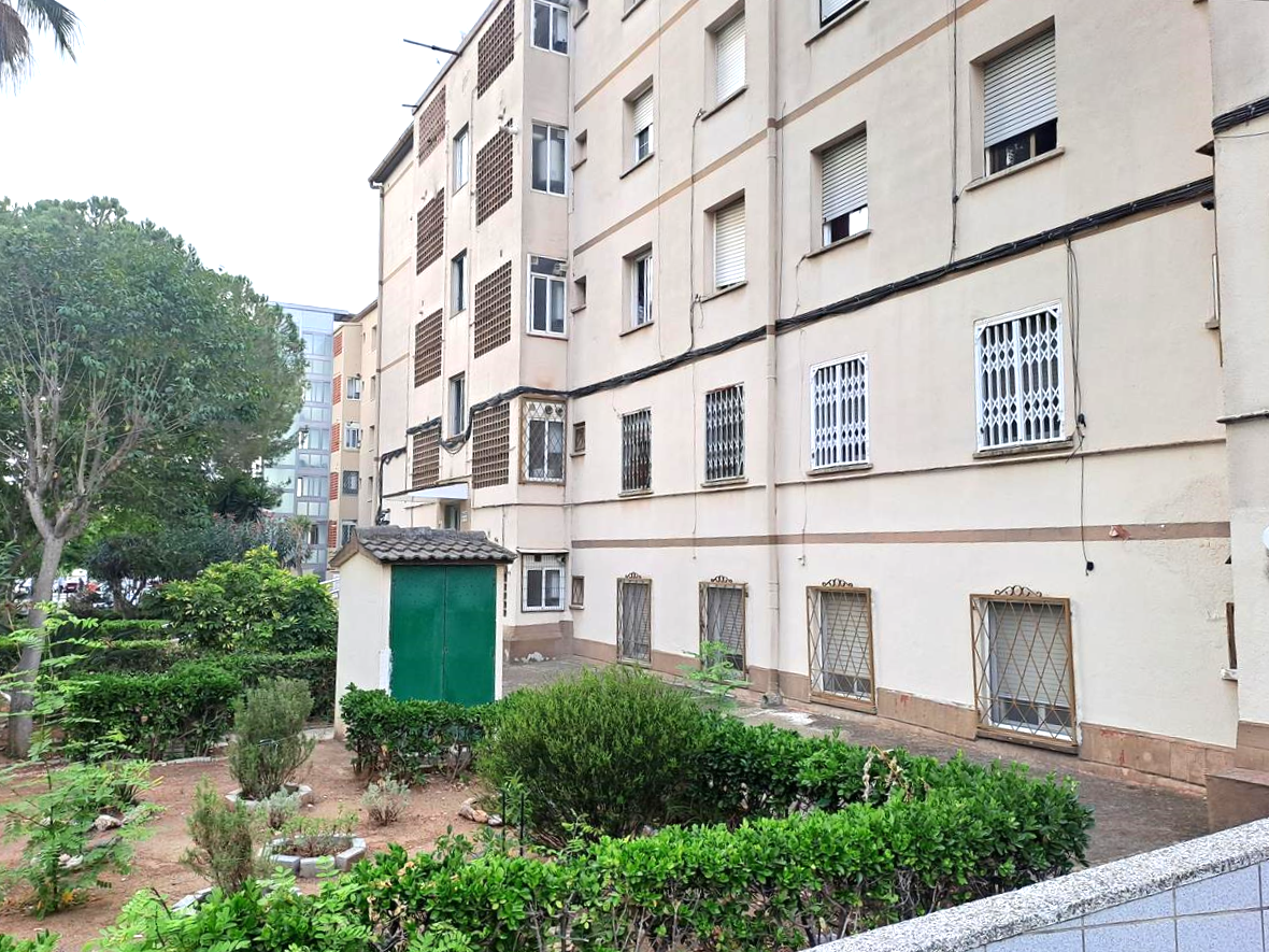 Image3