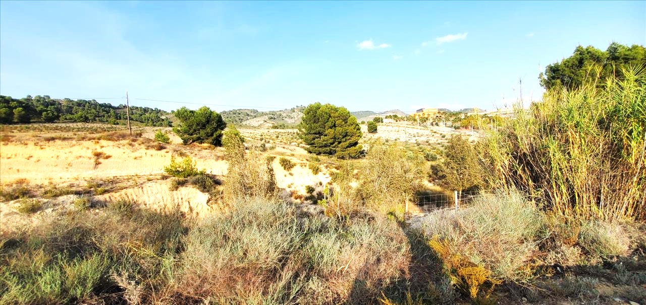 Image3