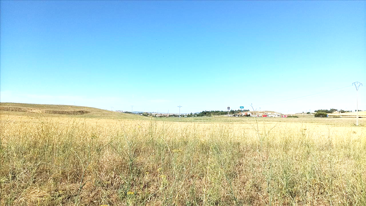 Image2