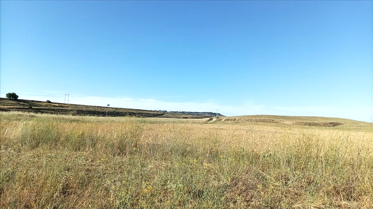 Image3