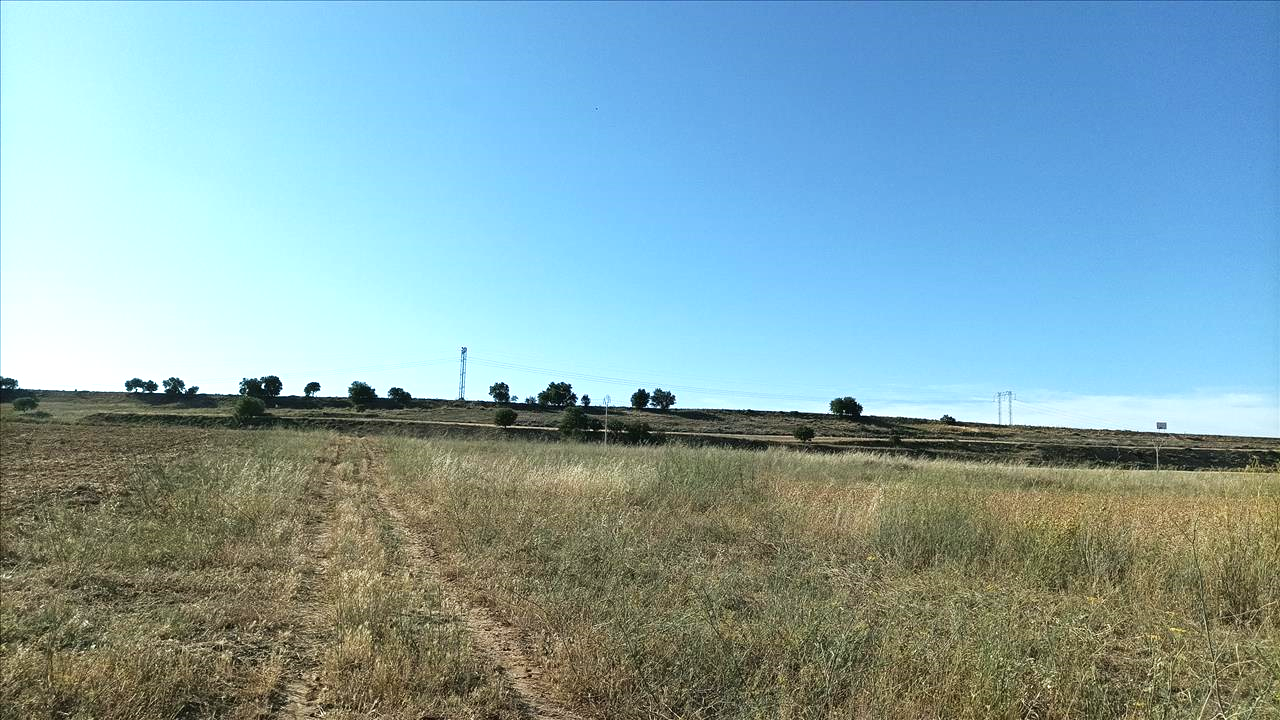 Image4