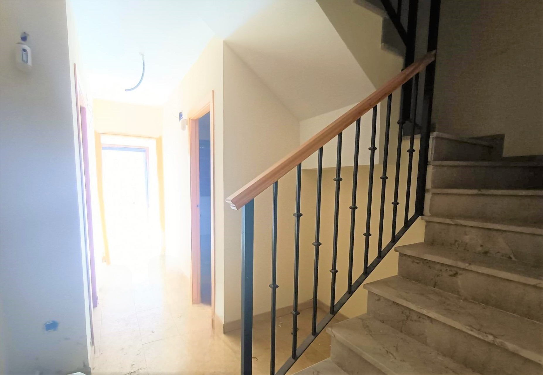 Image2
