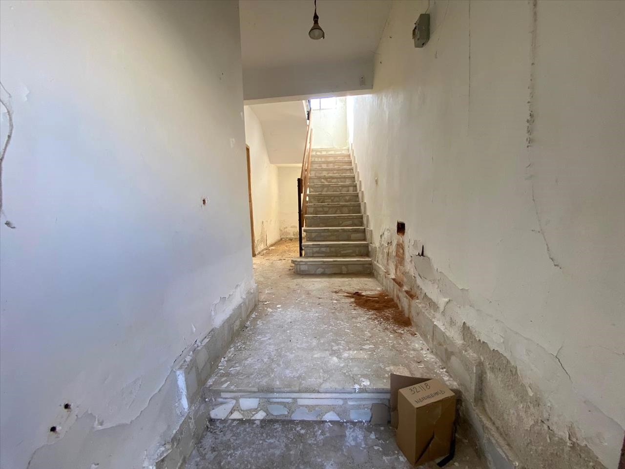 Image2