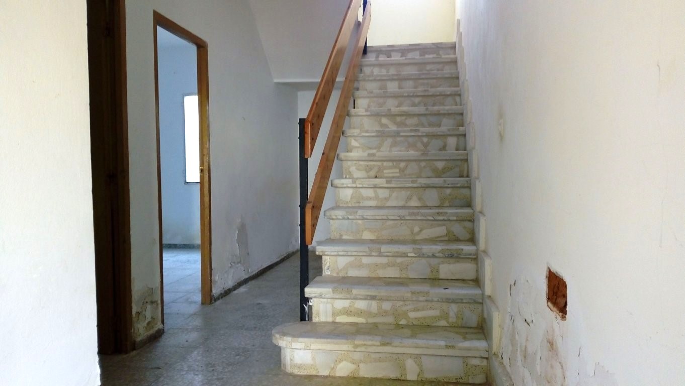 Image3