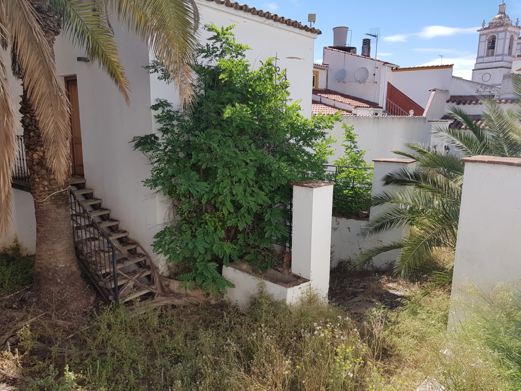 Casa de campo - Edifício senhorial - Image 22