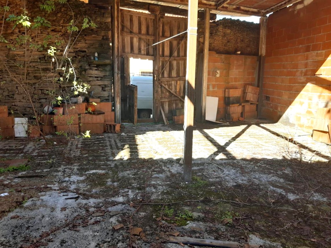 Image3