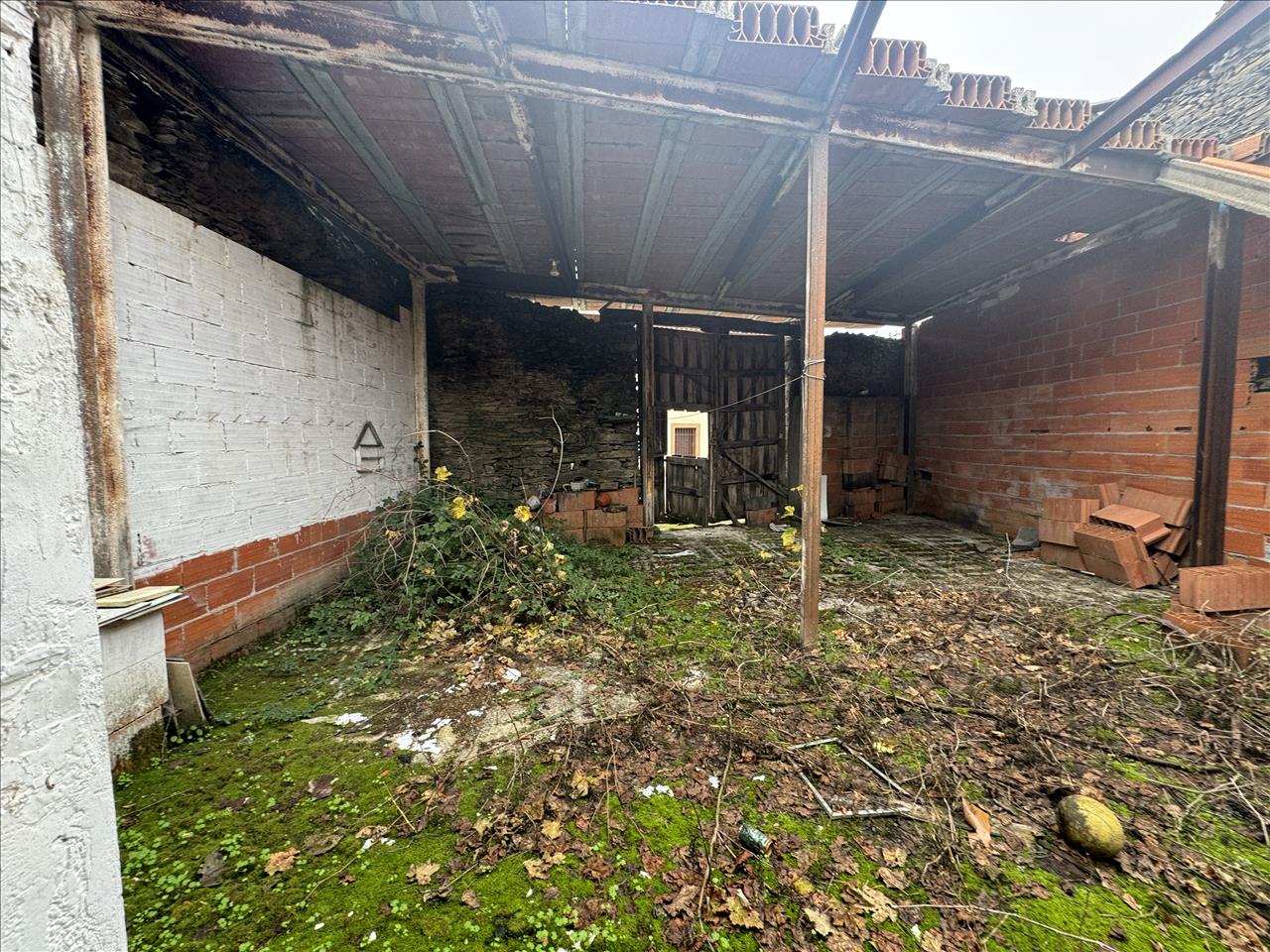 Image4