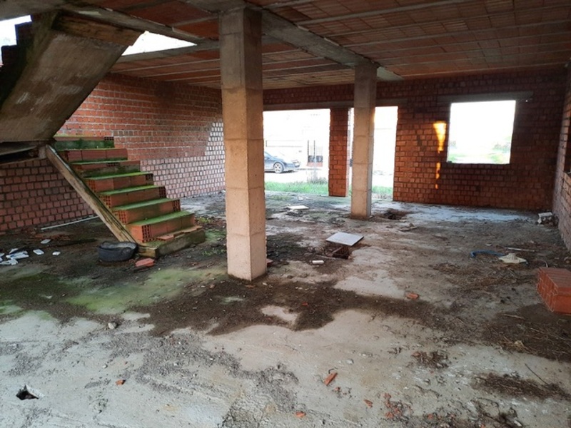 - Image 7