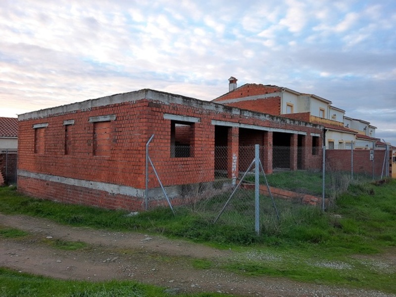 - Image 11