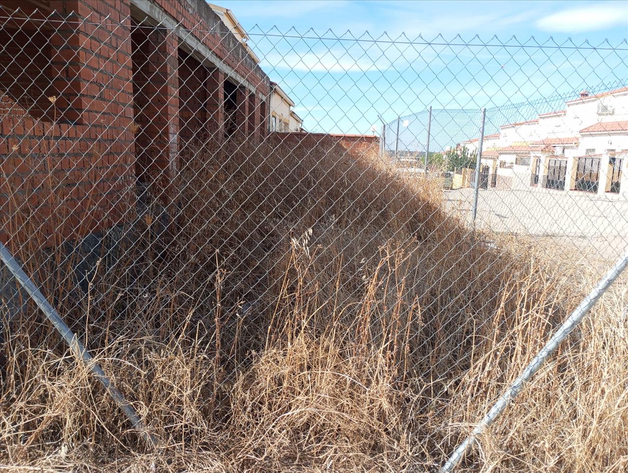 - Image 12