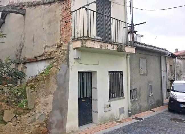  - Image 2