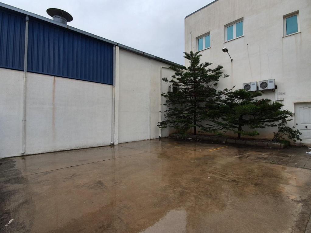 - Image 12