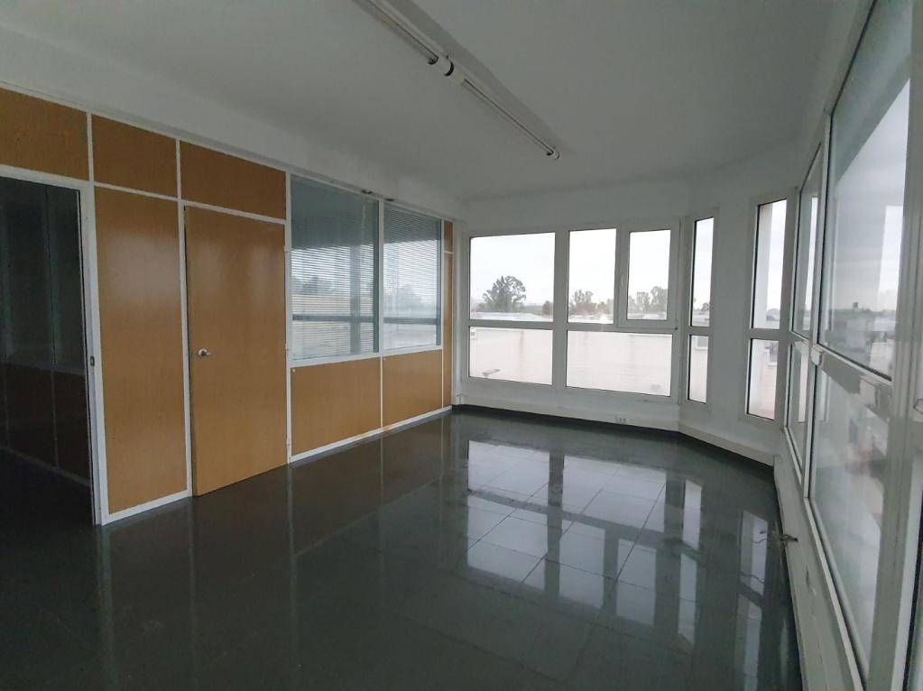 - Image 5