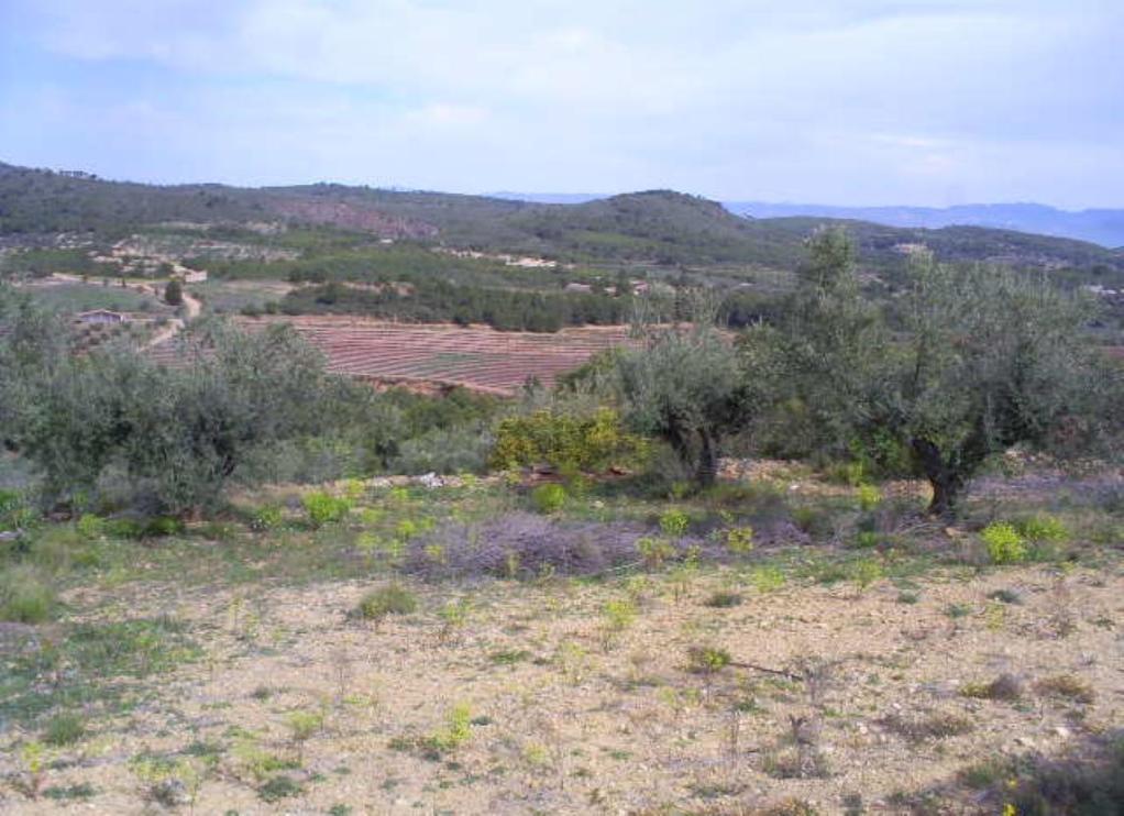 Finca rústica en Loma (La)