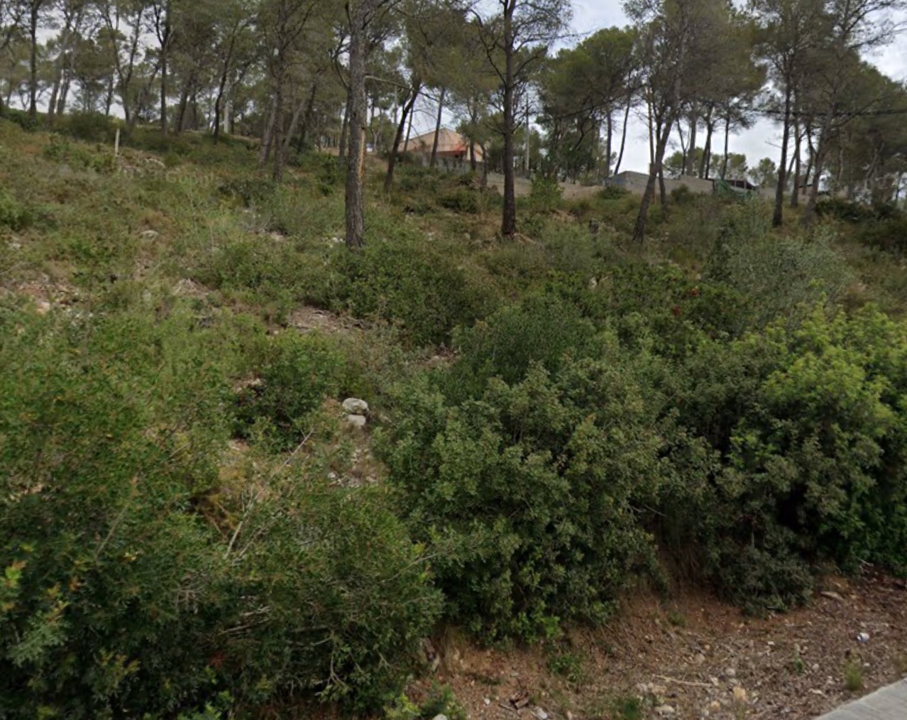 - Image 6