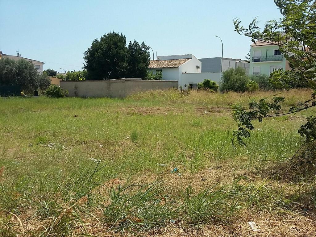 - Image 5