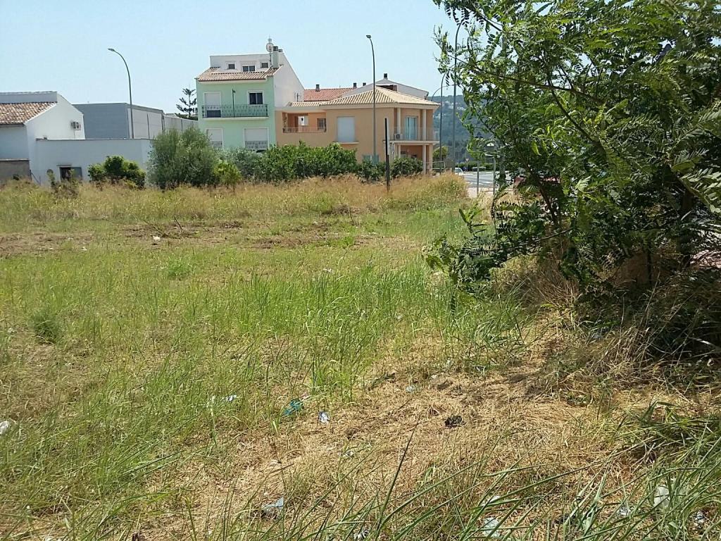 - Image 6